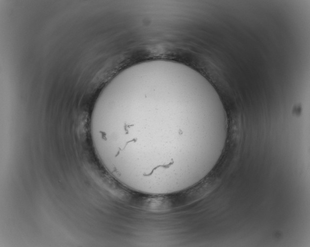 X0000112480275200909071205