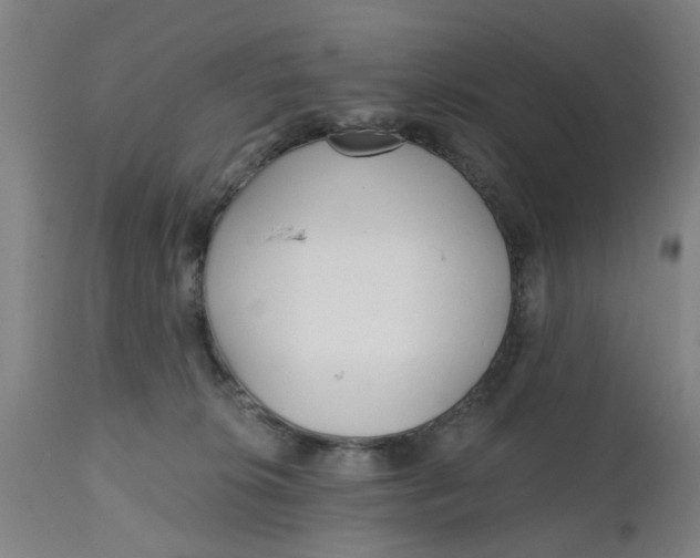 X0000112480276200909071205