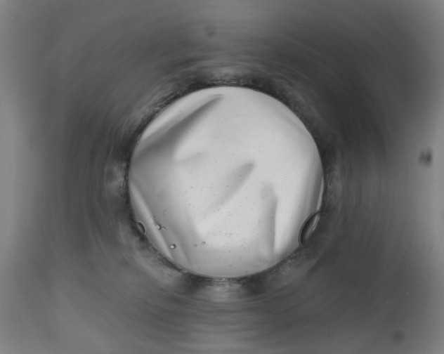 X0000112480278200909071205