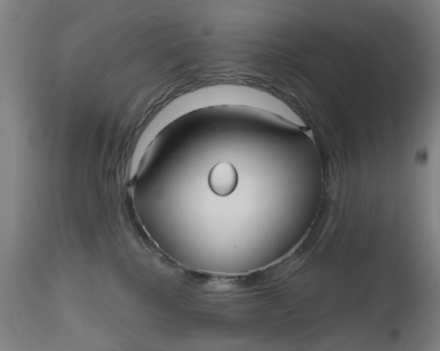 X0000112480280200909071205