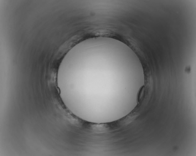 X0000112480281200909071205