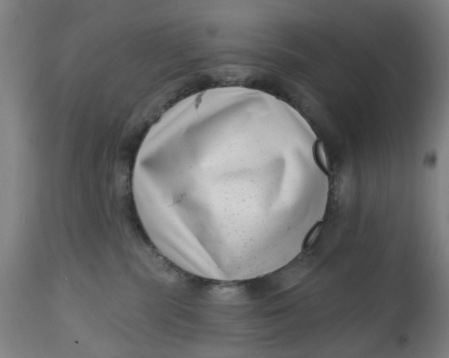 X0000112480283200909071205