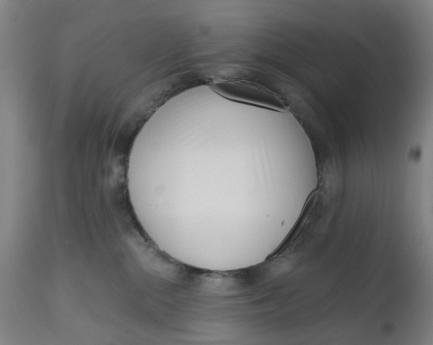 X0000112480284200909071205