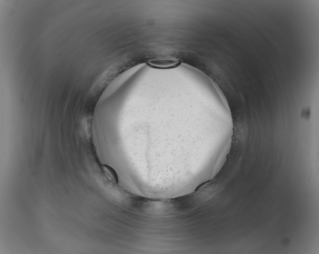 X0000112480286200909071205