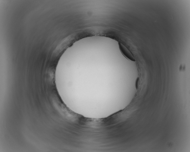 X0000112480288200909071205