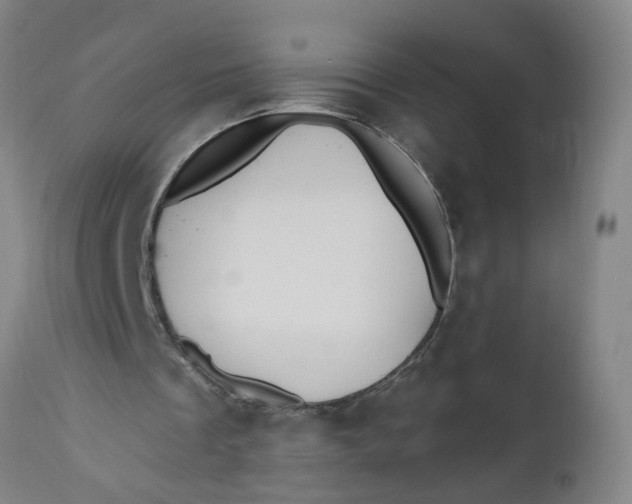 X0000112480289200909071204