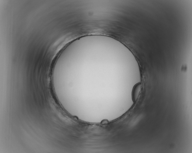 X0000112480290200909071204