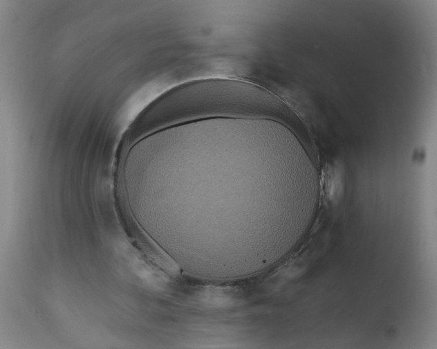 X0000112480292200909071204