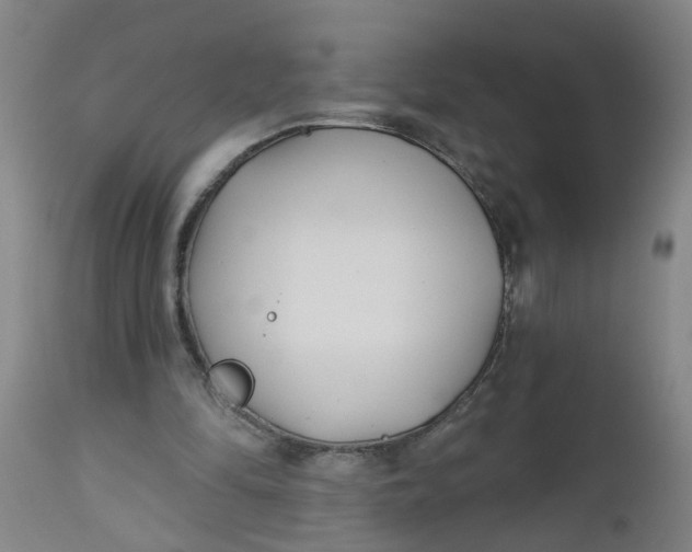 X0000112480294200909071204