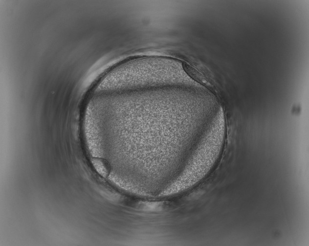 X0000112480295200909071204