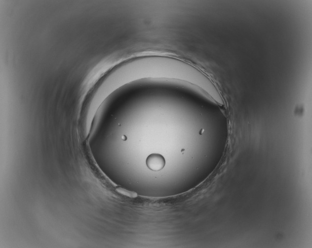 X0000112480296200909071204