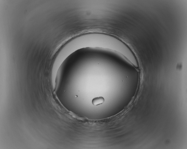 X0000112480297200909071204