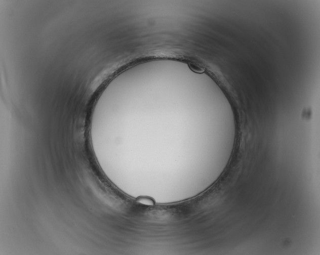 X0000112480299200909071204