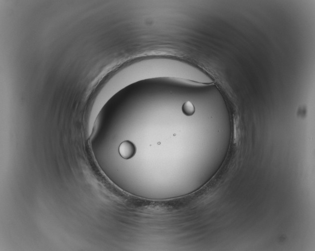 X0000112480300200909071204