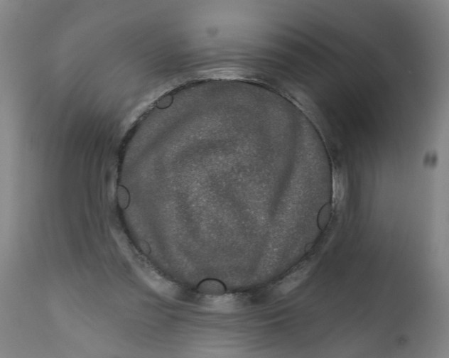 X0000112480301200909071204