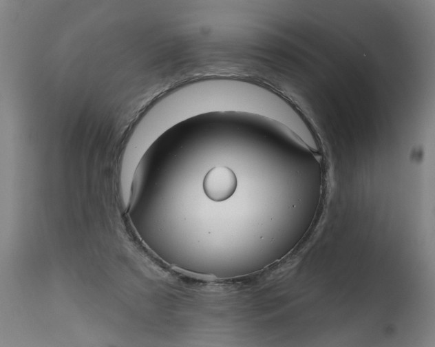 X0000112480305200909071204