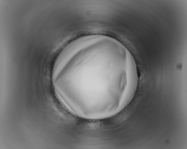 X0000112480306200909071204