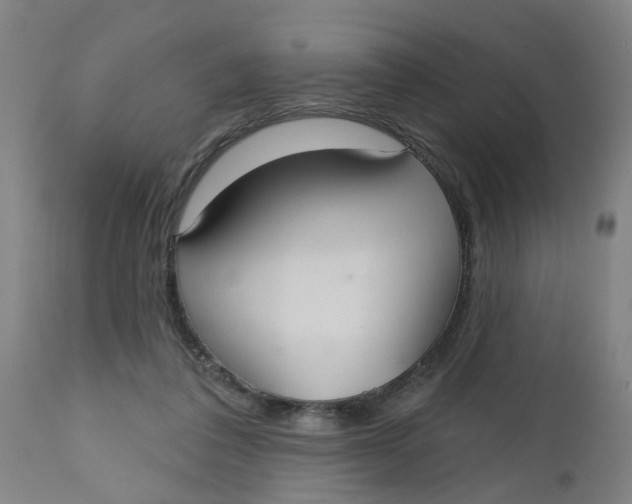 X0000112480308200909071204