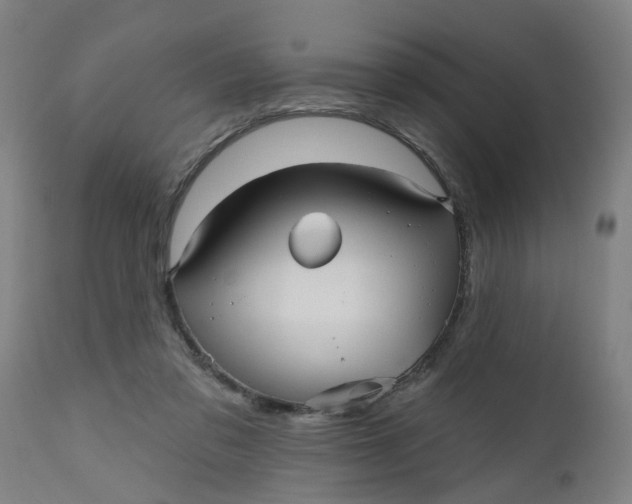 X0000112480309200909071204