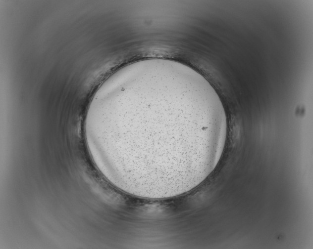 X0000112480310200909071204