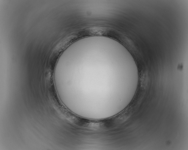 X0000112480314200909071204