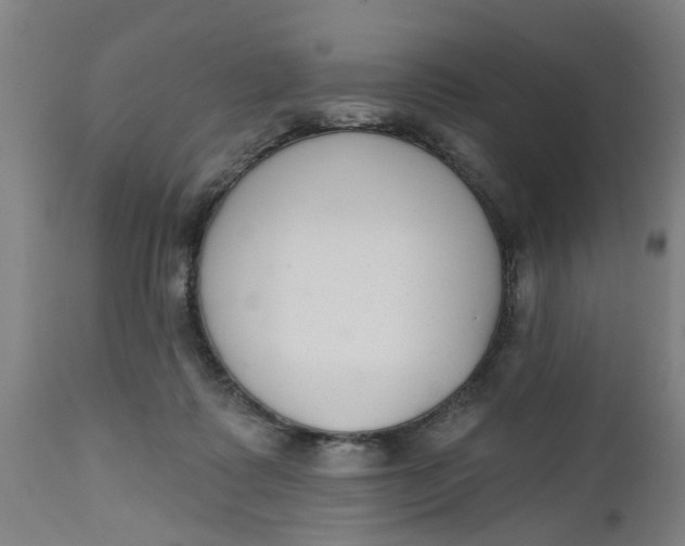 X0000112480315200909071204