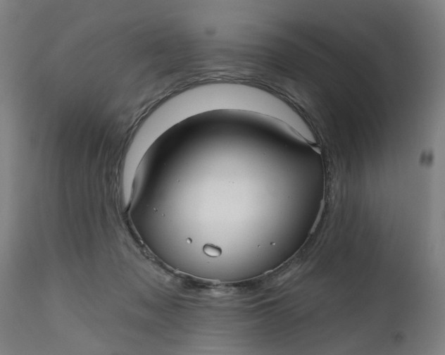 X0000112480317200909071204