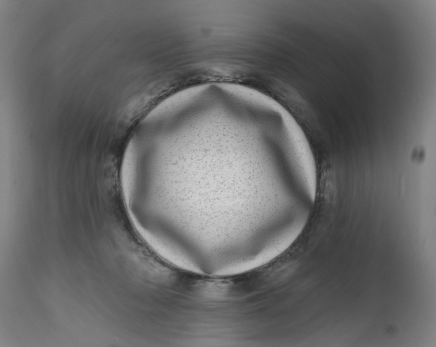 X0000112480318200909071204