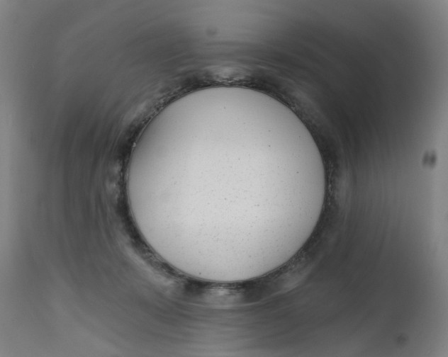 X0000112480319200909071204