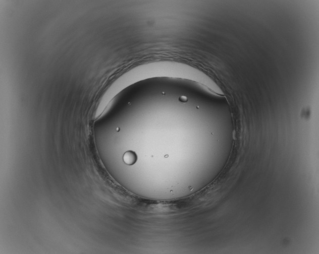 X0000112480320200909071204