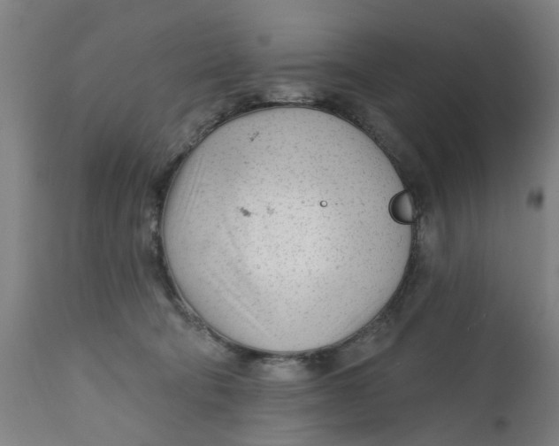 X0000112480322200909071204