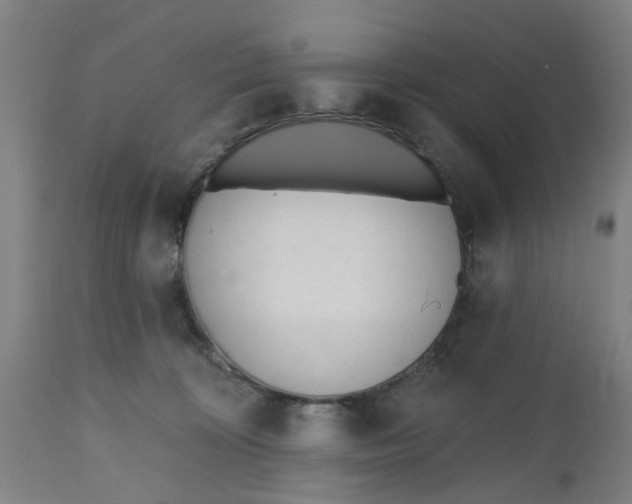 X0000112480324200909071203