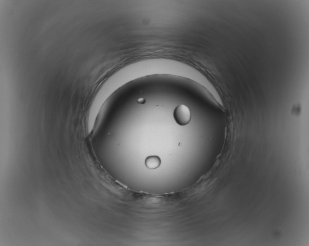 X0000112480325200909071203