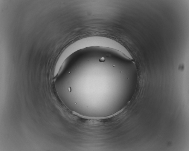 X0000112480327200909071203