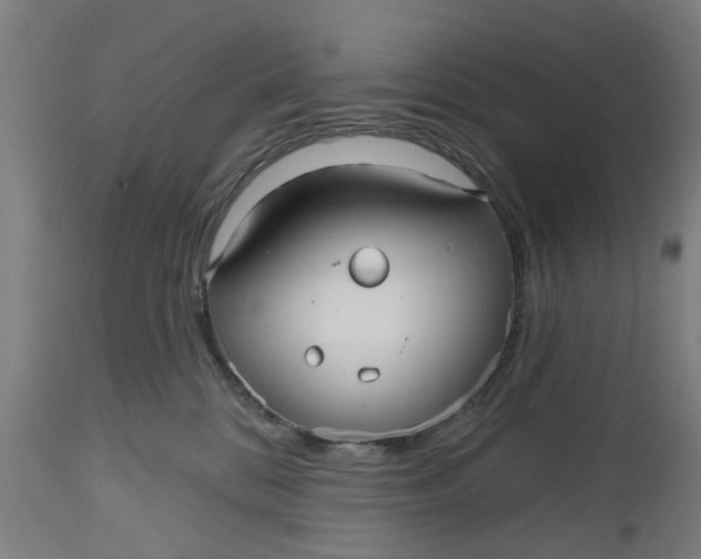 X0000112480328200909071203