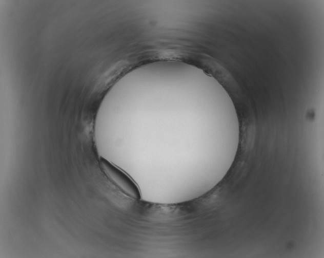 X0000112480329200909071203