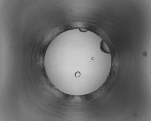 X0000112480330200909071203