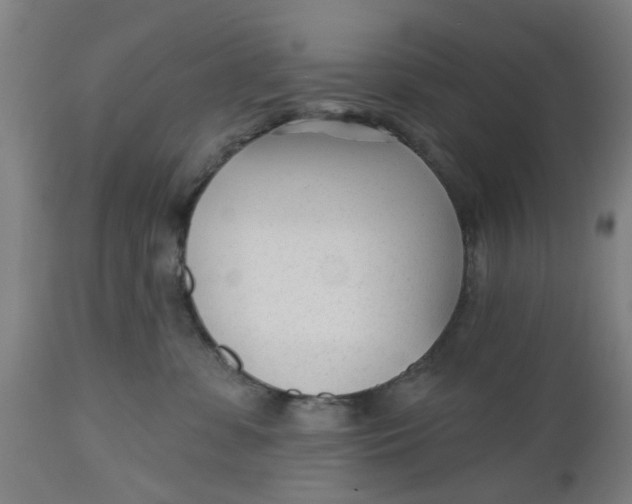 X0000112480331200909071203