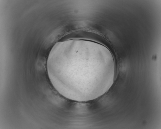 X0000112480332200909071203