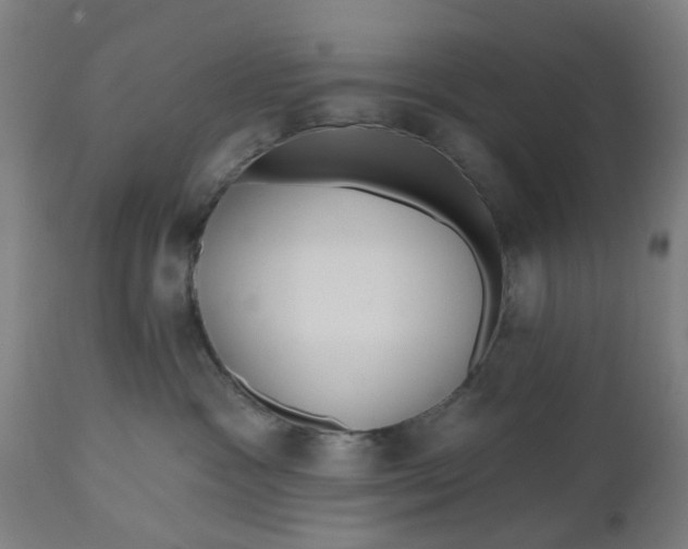 X0000112480333200909071203