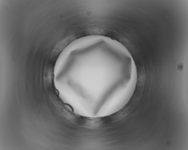 X0000112480334200909071203