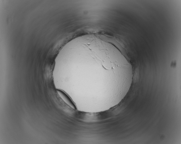 X0000112480335200909071203