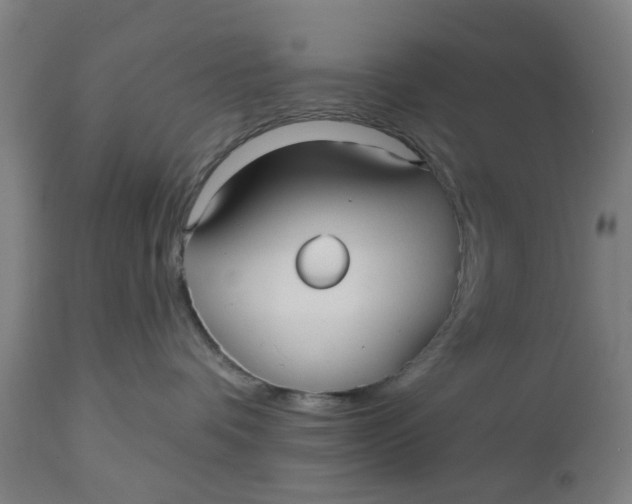 X0000112480336200909071203