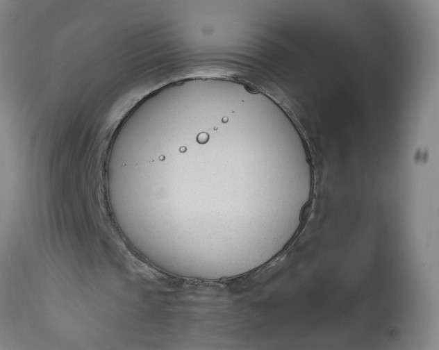 X0000112480337200909071203