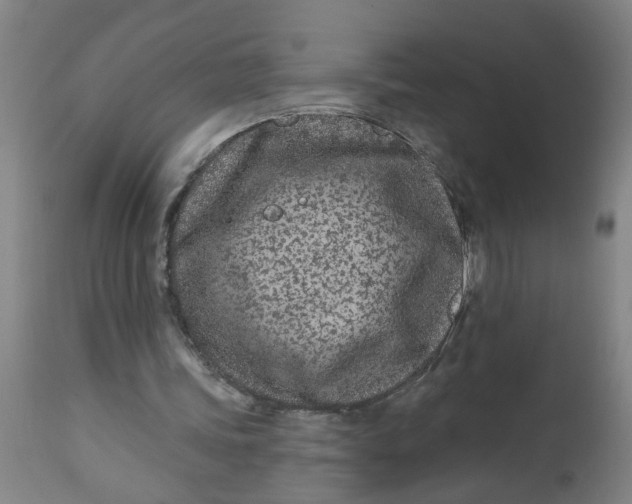 X0000112480339200909071203