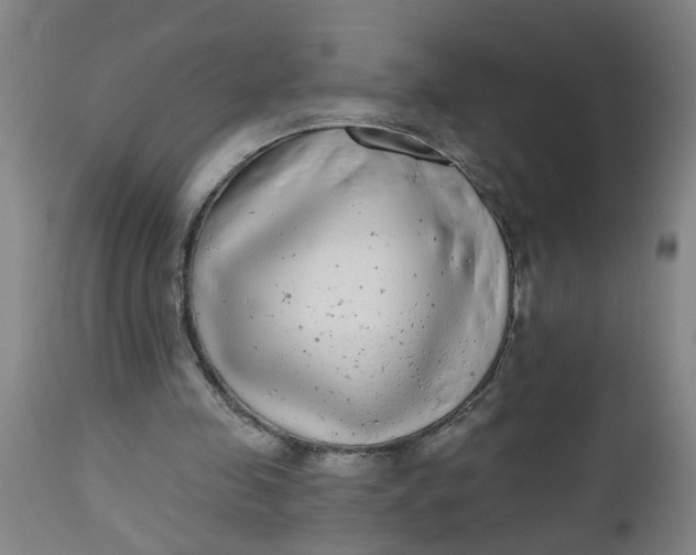 X0000112480341200909071203