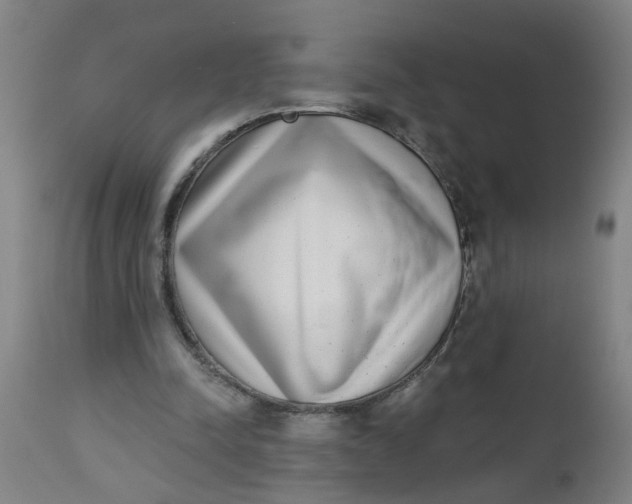 X0000112480342200909071203