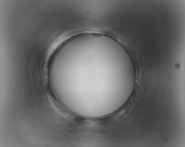 X0000112480343200909071203