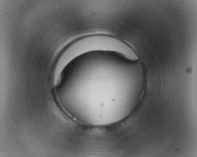 X0000112480350200909071203