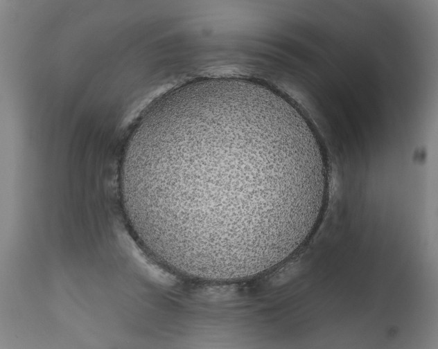 X0000112480353200909071203